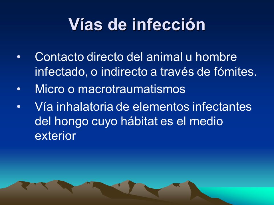 El ungüento del hongo en los pies por una aplicación